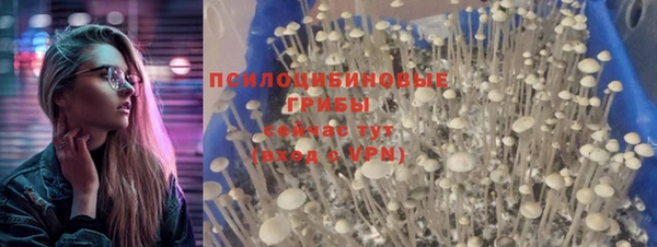 твердый Алексеевка