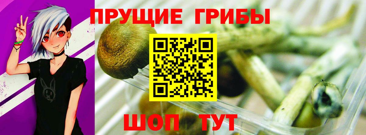 Лениногорск  наркота  Псилоцибиновые грибы Cubensis  Вход с VPN  Псилоцибиновые грибы MAGIC MUSHROOMS 